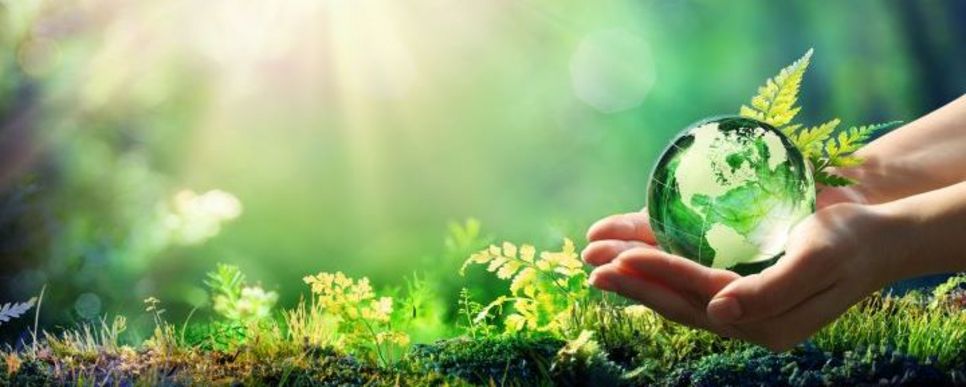 Foto: Shutterstock Eine Hand hält eine durchsichtige, grün leuchtende Erdkugel vor grünem Hintergrund.